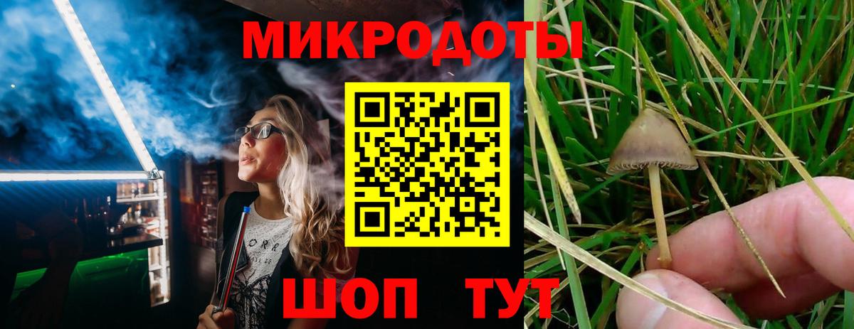 Галлюциногенные грибы мухоморы  Вход с VPN  Строитель  Галлюциногенные грибы прущие грибы 